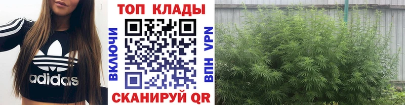 Купить наркотик аптеки Новодвинск A PVP  Мефедрон  АМФ  ГАШ  hydra рабочий сайт  Кокаин  Каннабис 