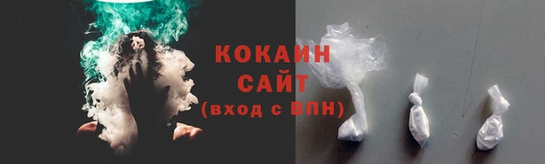 амф Алзамай