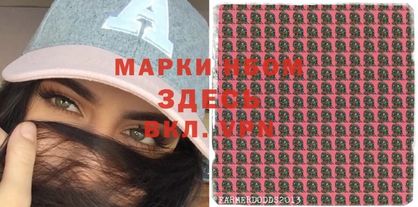 амф Алзамай