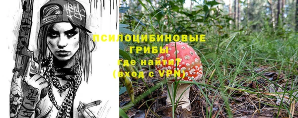 твердый Алексеевка
