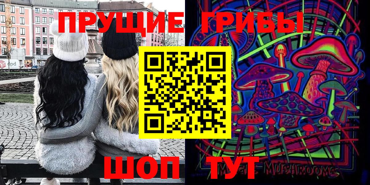 Новодвинск  Галлюциногенные грибы Psilocybine cubensis  Вход с VPN 