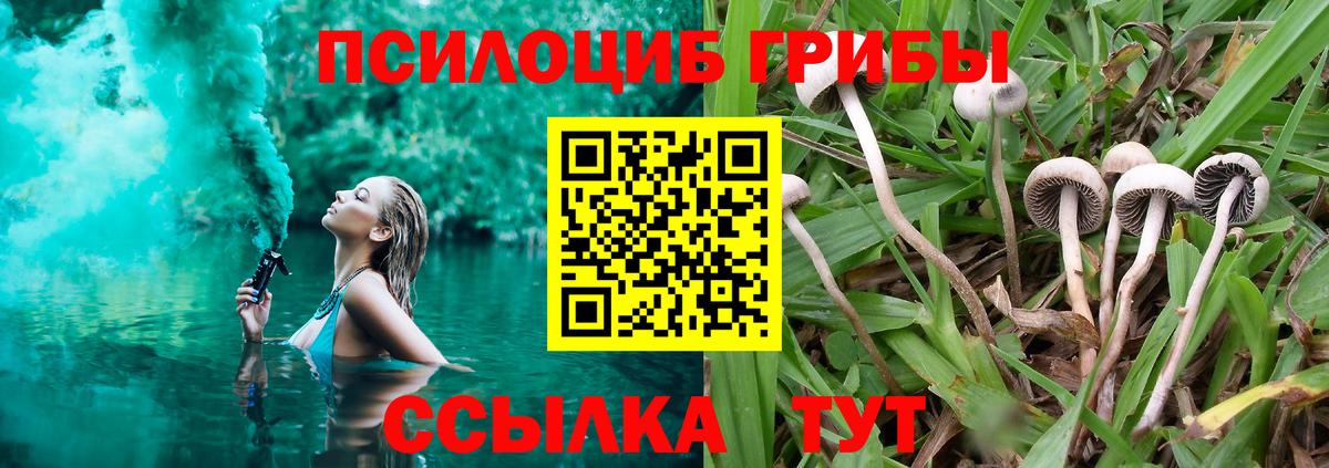 Псилоцибиновые грибы MAGIC MUSHROOMS Новодвинск